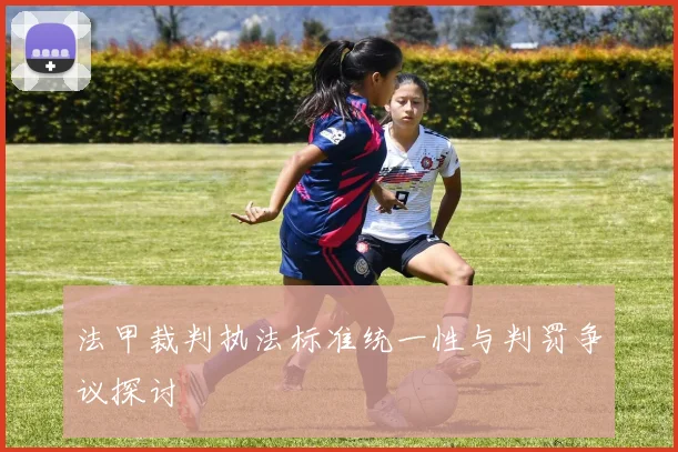 法甲裁判执法标准统一性与判罚争议探讨