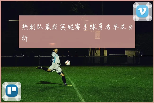 热刺队最新英超赛季球员名单及分析