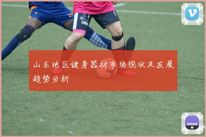 山东地区健身器材市场现状及发展趋势分析
