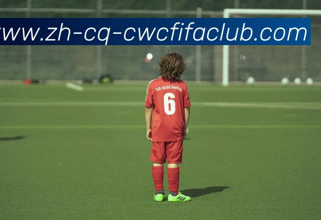 火箭队与太阳队比赛录像的完整回放