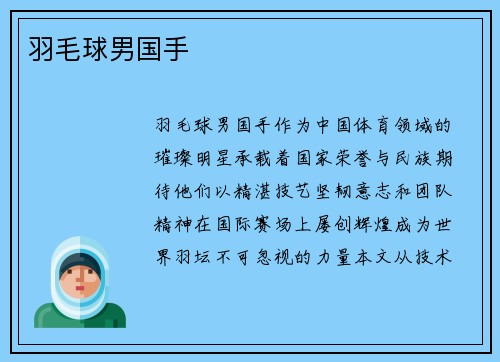 羽毛球男国手